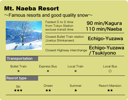 Mt. Naeba Resort